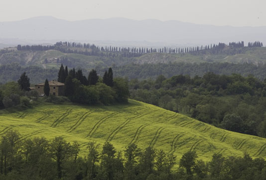 Tuscan Fields