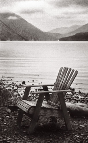 Crescent Lake chair-sepia