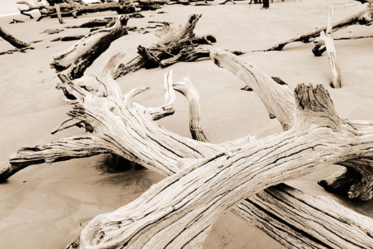 driftwood-lith_8bFlat